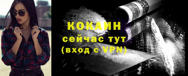 mix Белокуриха