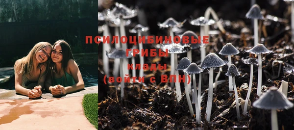 твердый Балабаново